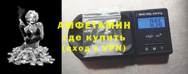 шишки Мегион