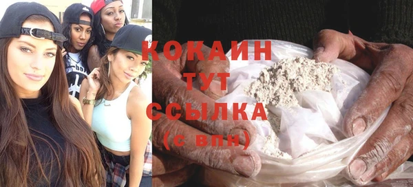 прущие грибы Володарск