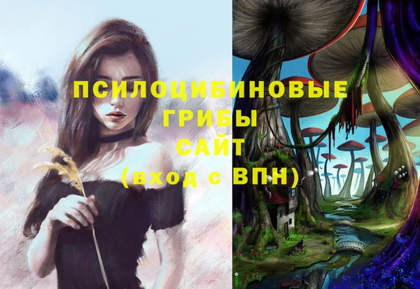 спиды Надым